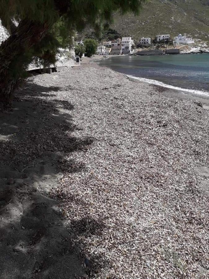 Kalymnos Beach House Panormos  Dış mekan fotoğraf